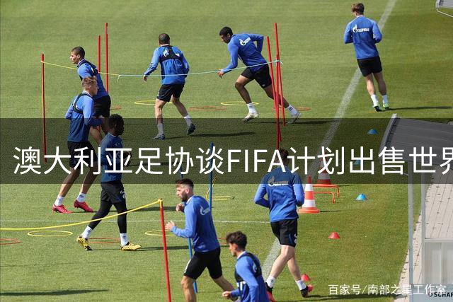 澳大利亚足协谈FIFA计划出售世界杯版权：要求提供更多信息